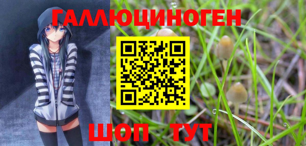 Галлюциногенные грибы GOLDEN TEACHER  Вход с VPN  Псилоцибиновые грибы Psilocybine cubensis  Зеленокумск 